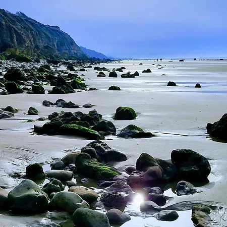 펜션 Charmante Petite Sur Deauville Trouville-sur-mer 뚜끄