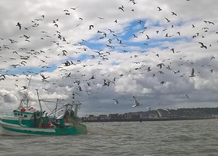 Charmante Petite Sur Deauville Trouville-sur-mer Touques