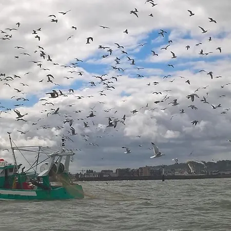Charmante Petite Sur Deauville Trouville-sur-mer טוקה