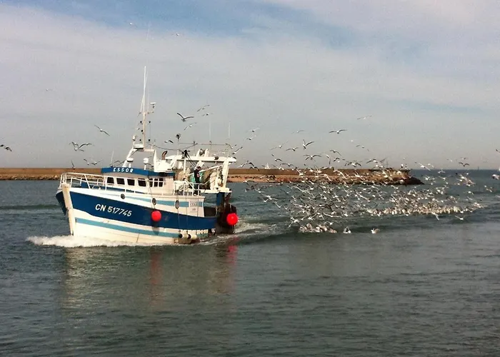 Charmante Petite Sur Deauville Trouville-sur-mer بيت للعطل