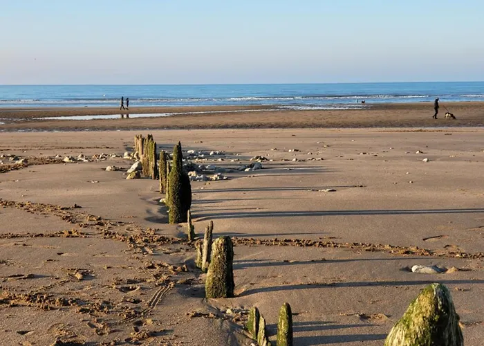 بيت للعطل Charmante Petite Sur Deauville Trouville-sur-mer *