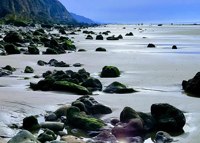 بيت للعطل Charmante Petite Sur Deauville Trouville-sur-mer توكويز